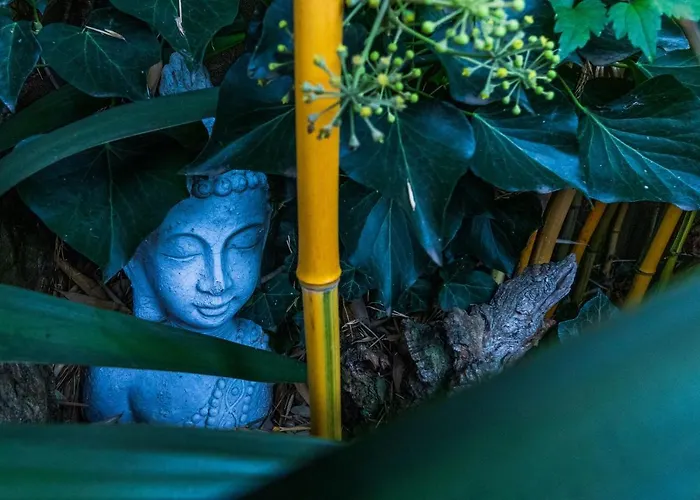 Little India 1 * Vijlen