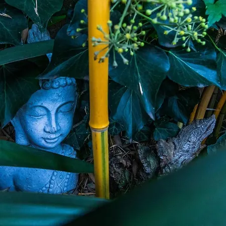 Little India 1 * Vijlen